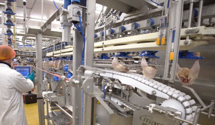 Reach the top of anatomic leg processing