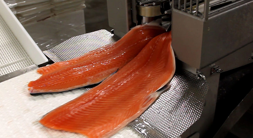 CT 2630 Filleting Output