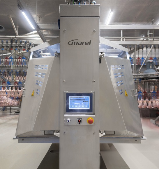 Nuova I Front Square