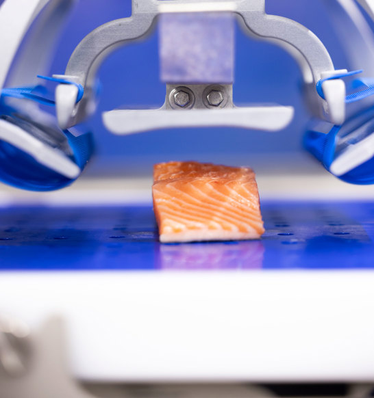 Robo Packer Salmon 1