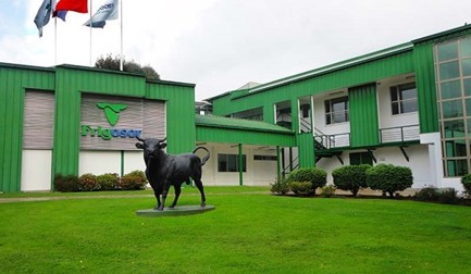 Frigosorno melhora eficiência da sua desossa com a StreamLine