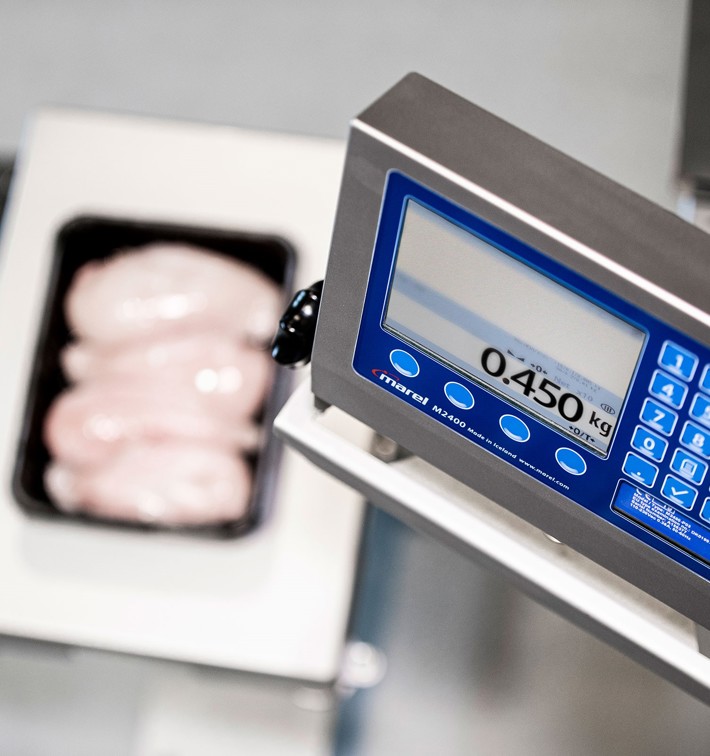 Scale For Food Industry Model M2400