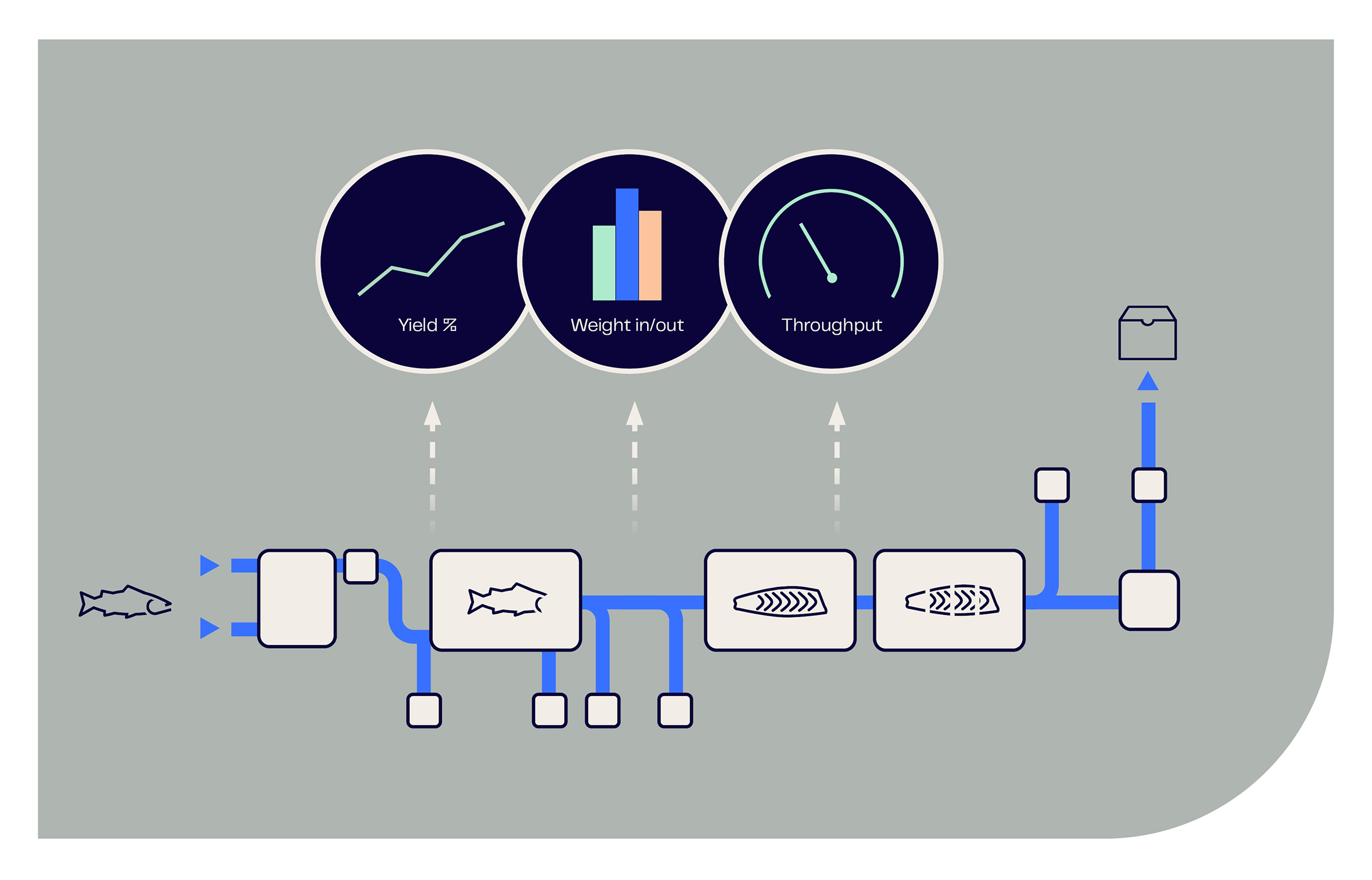 Infographic Salmon Filleting Line V2a