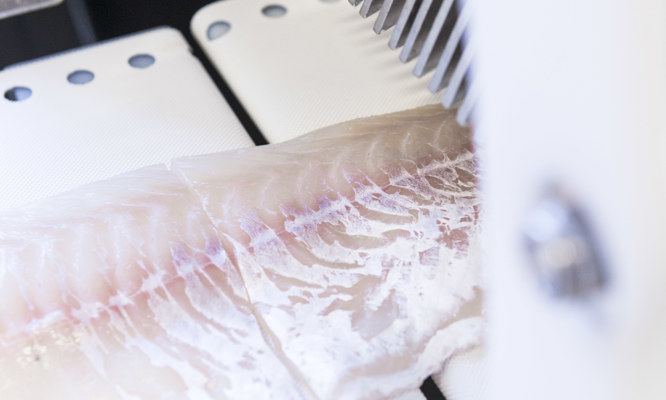 I-Cut 11 Porcionadora 