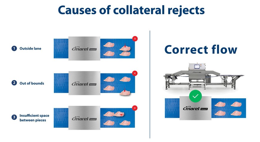 Sensorx Infeed Monitoring Reject Scheme