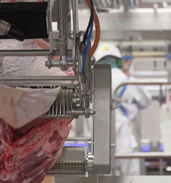 Deboflex Deskinning Automation Still