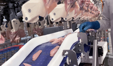 Система FHF FlexControl – путь к оптимизации эффективности линии и повышению надежности