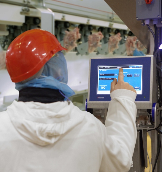 FHF Screen Kim AL 100