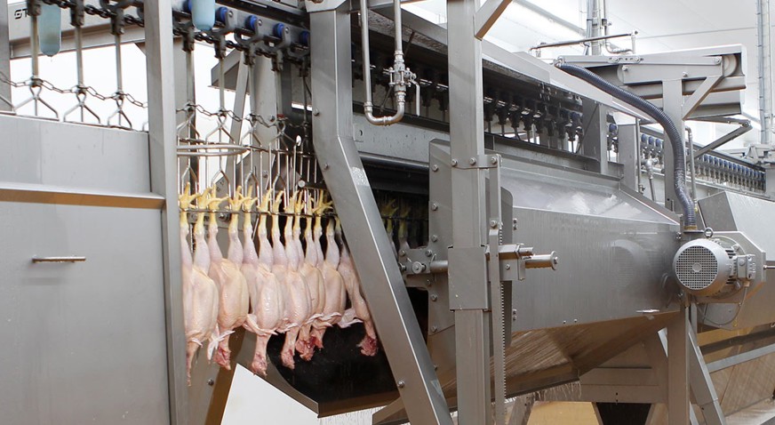 Washers / finishers poultry