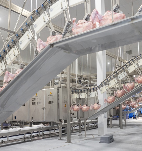 Cutup Deboning Turkey Prestage