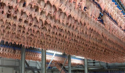 Why is maturation needed?