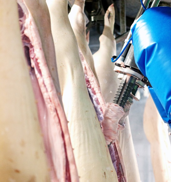 M-Line Leaf Lard Remover