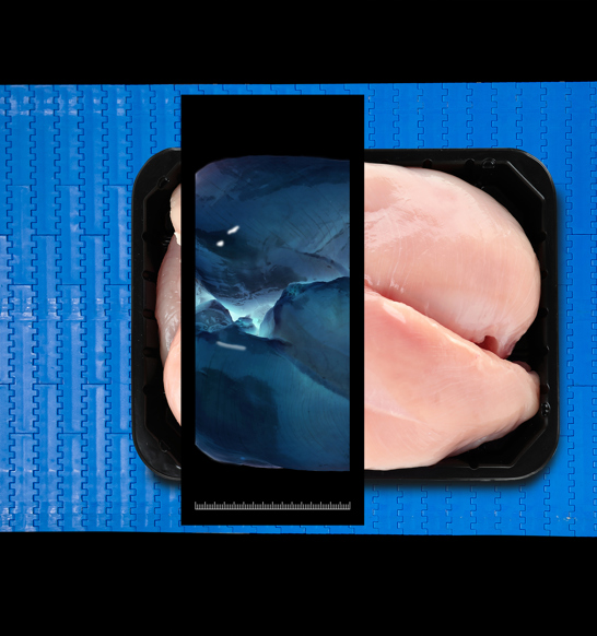 Los sistemas de inspección de aves por rayos X detectan y eliminan los contaminantes duros en los alimentos para obtener carne sin hueso