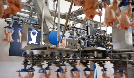 Marel сочетает передовые технологии с навыками профессионального раздельщика