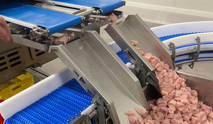 Промышленное и профессиональное производство нишевых продуктов