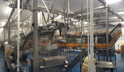 Nutrypollo é “sinônimo de qualidade total”