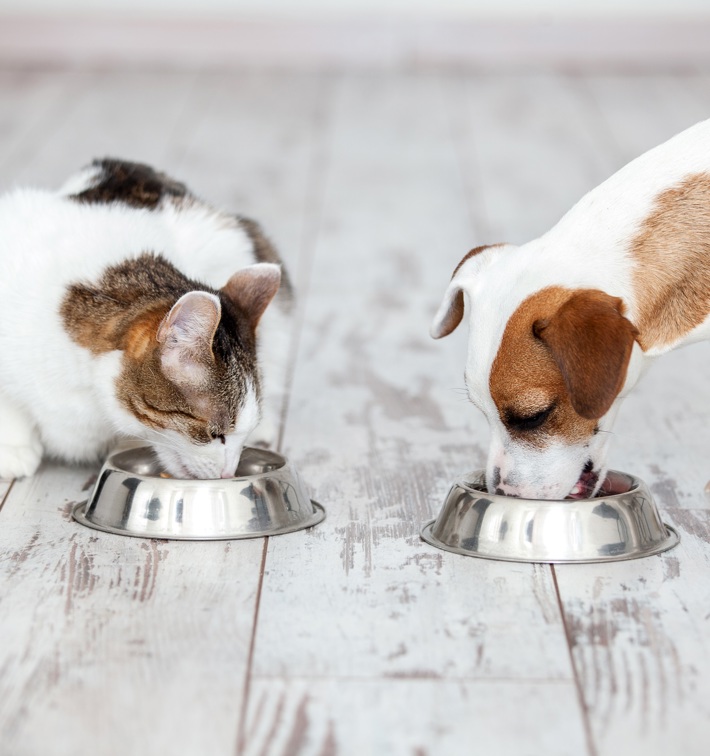 Freeze Dried Pet Food For Dogs And Cats