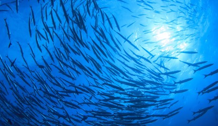 Results of the AGM 16 March 2022