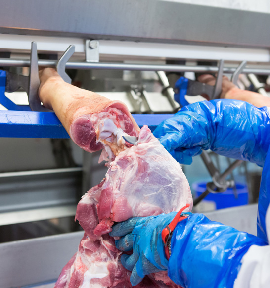 Deboflex Compaxo Anatomic Deboning