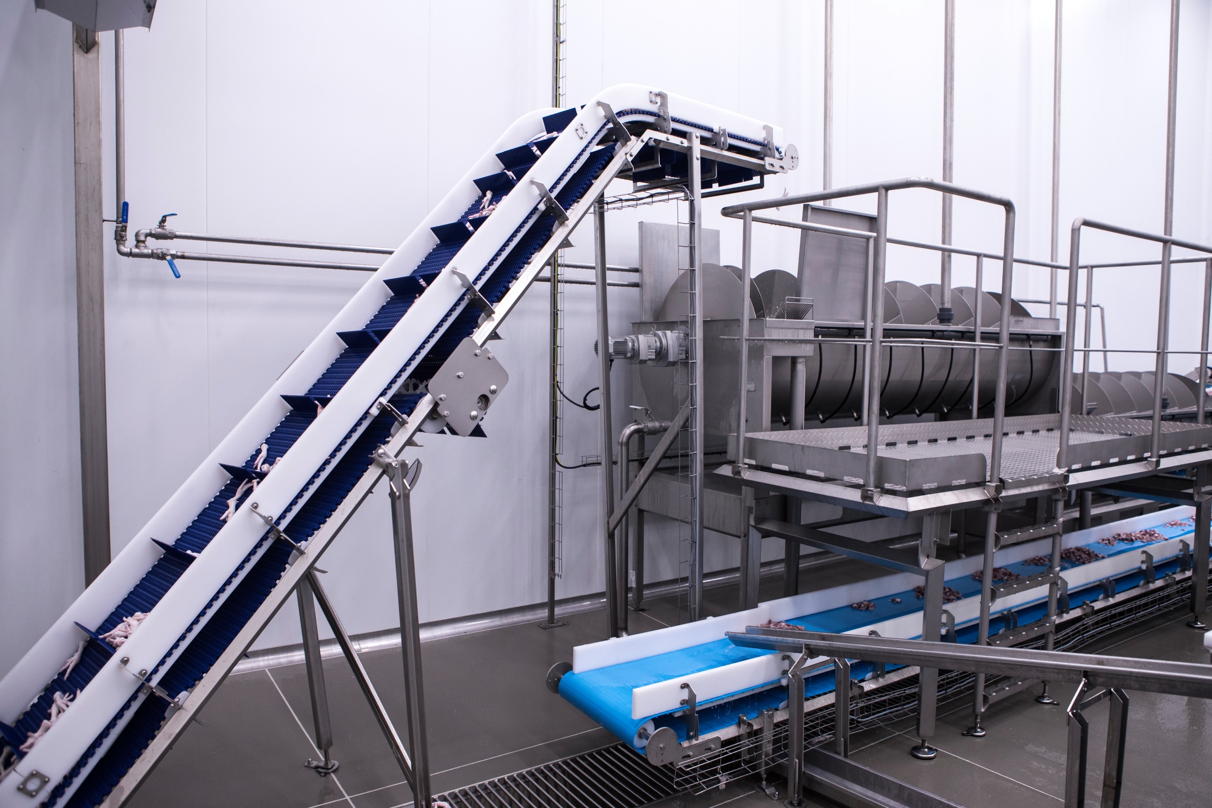 Feet Processing Chiller