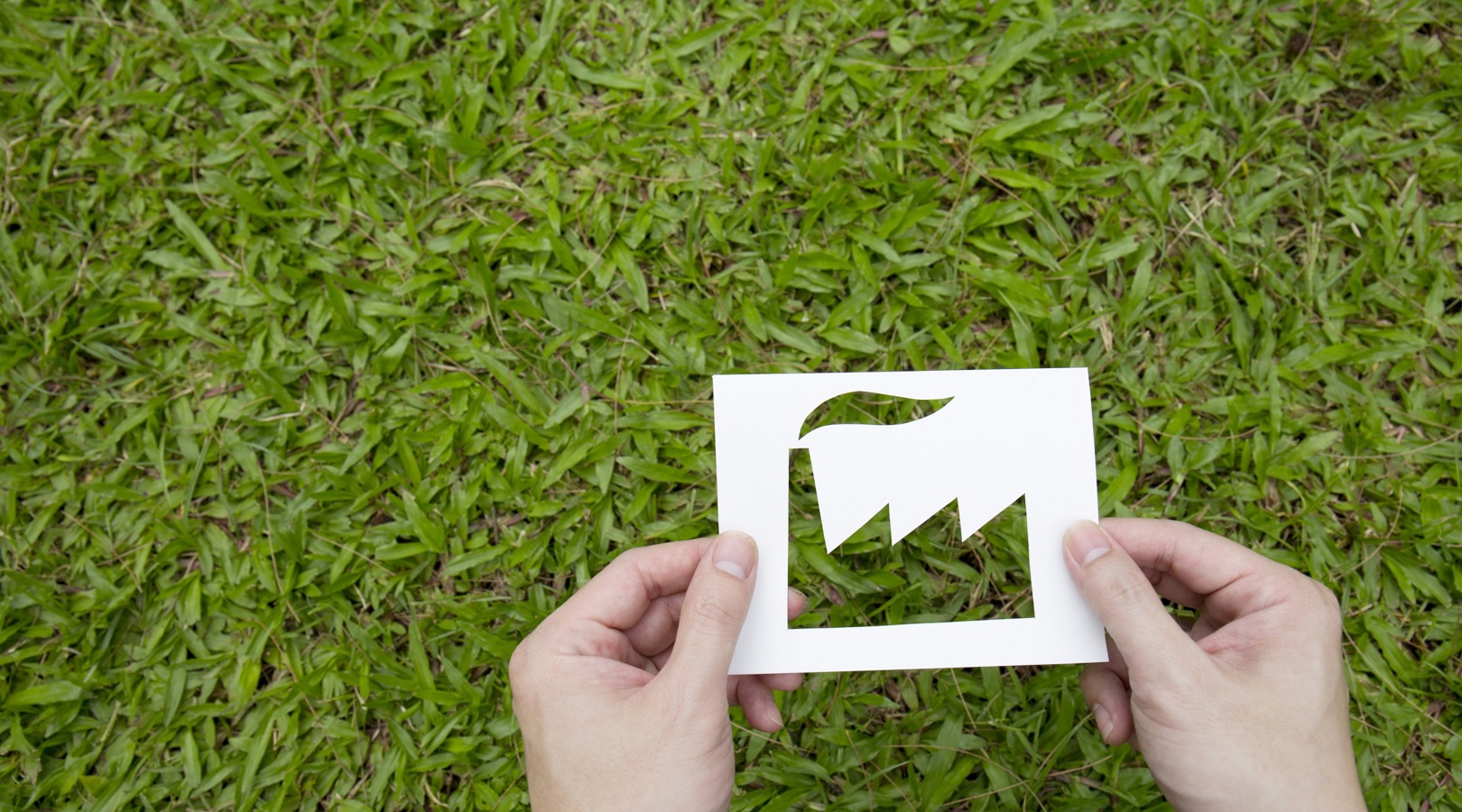 Green And Sustainability