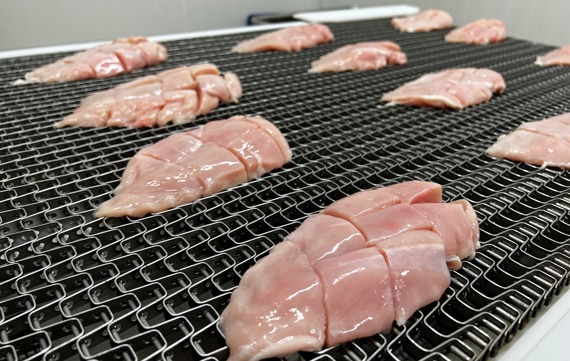 DSI Cubed Dillets On Belt