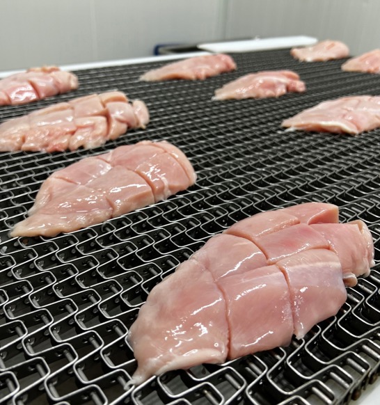 DSI Cubed Dillets On Belt