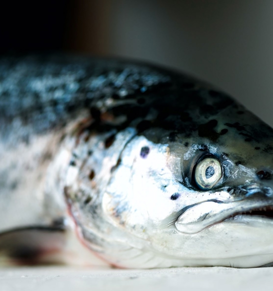 Salmon Smokehouse Solution 1