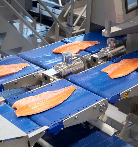 Leroey Midt Salmon Processing