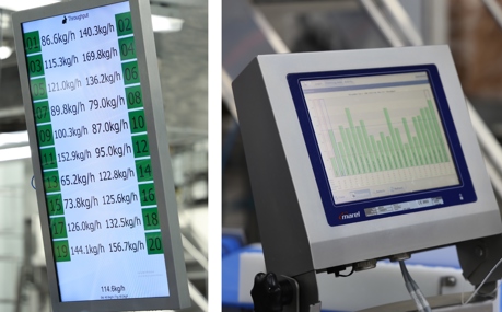 Central Bernard Screens