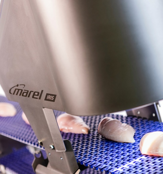 IRIS FI visual fillet inspection