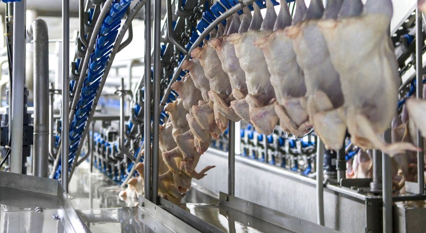 Inline Immersion Chilling4