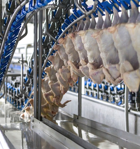 Inline Immersion Chilling4