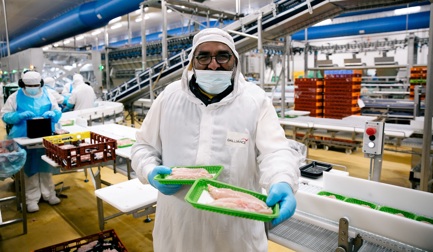 Galliance Ancenis sorgt für Vielseitigkeit