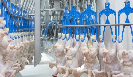 8 ключевых вопросов для понимания важности отрезания клоаки