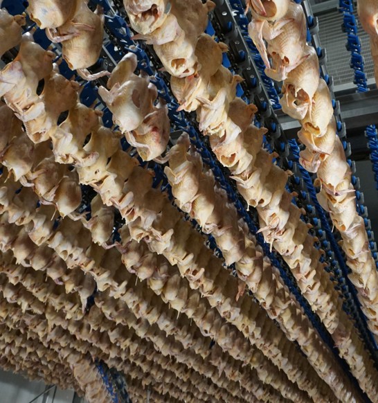 Poultry air chilling