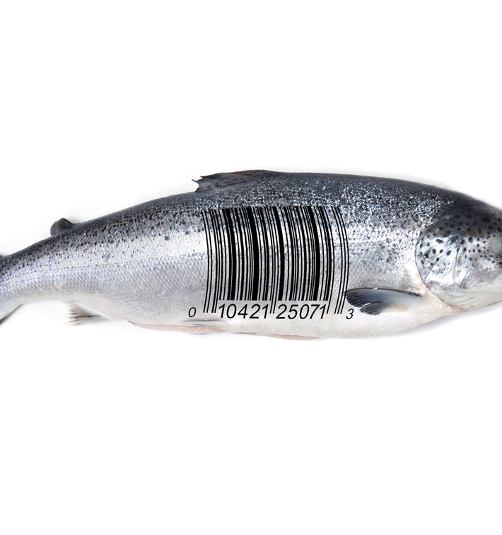 Innova Salmon Barcode