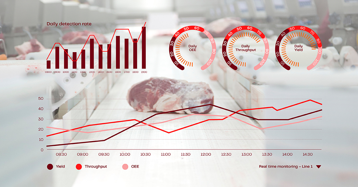 Margins Article Visual Assets