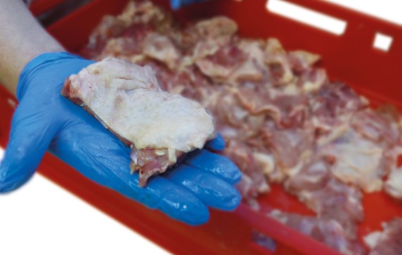 MAJA ESB-SH Rundmesserschneider für Geflügelportionen