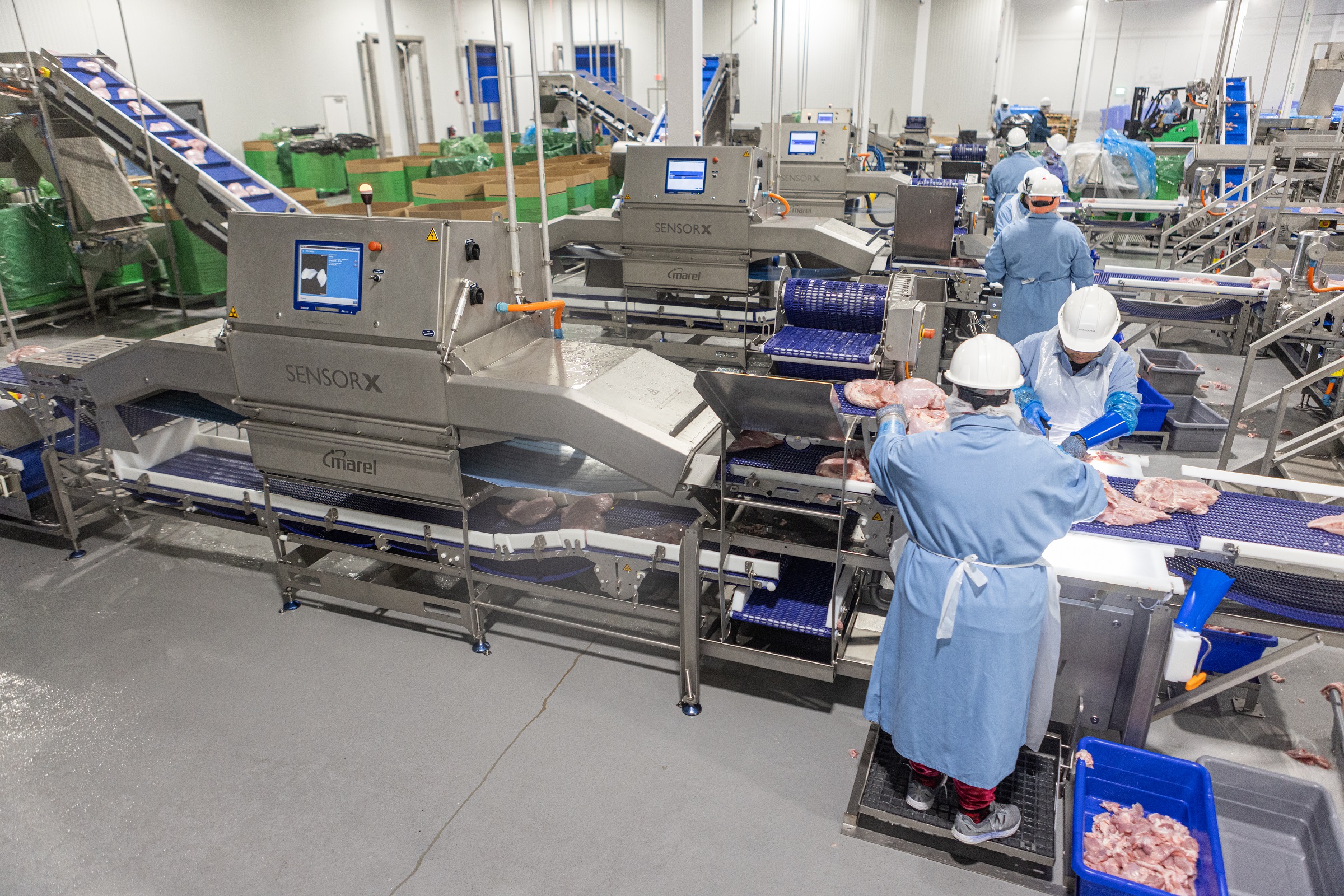 Sensorx Turkey Prestage