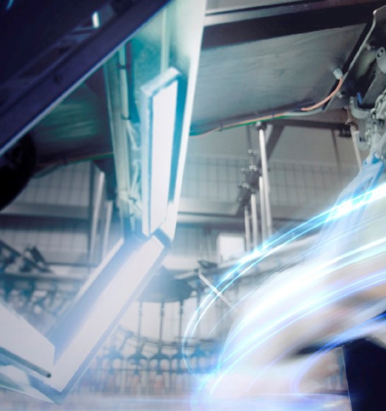 IRIS Poultry Processing Quality Grading