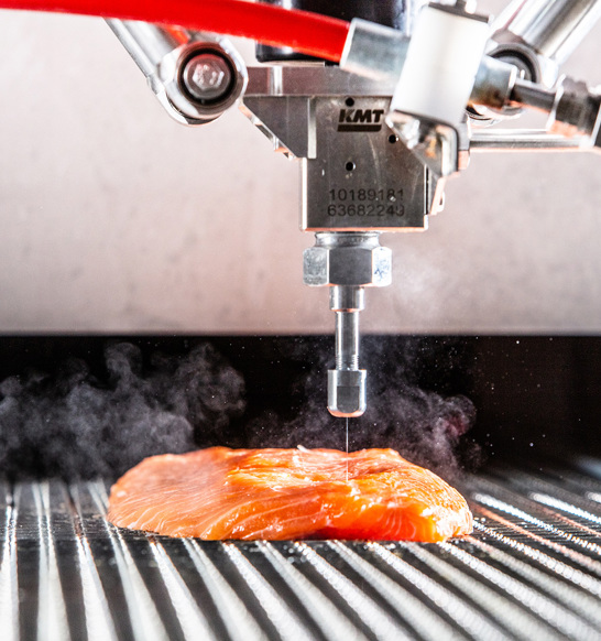 Salmon Waterjet Trimming